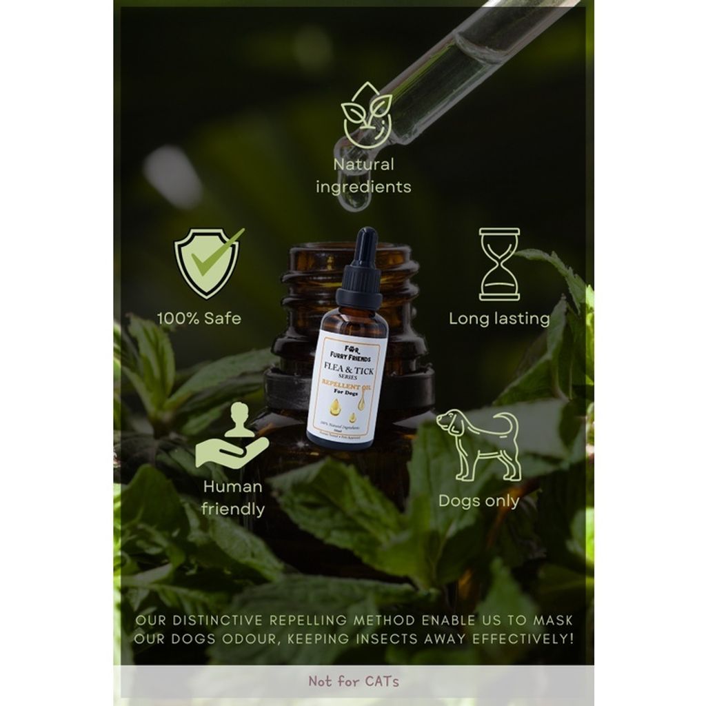 d174514ad77d2cc238dabeefc54cfbf3