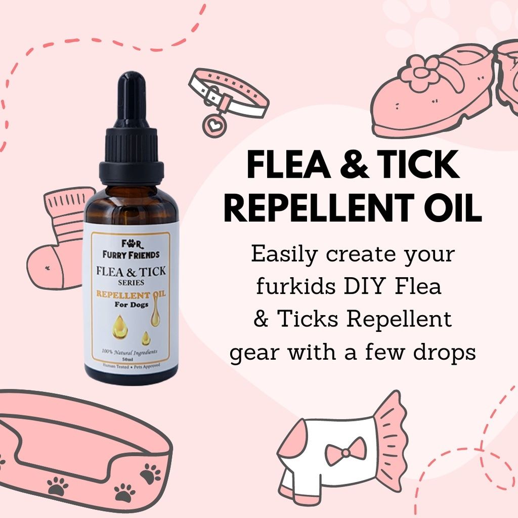 e2580749afeee5e80e1a5847a08170ad