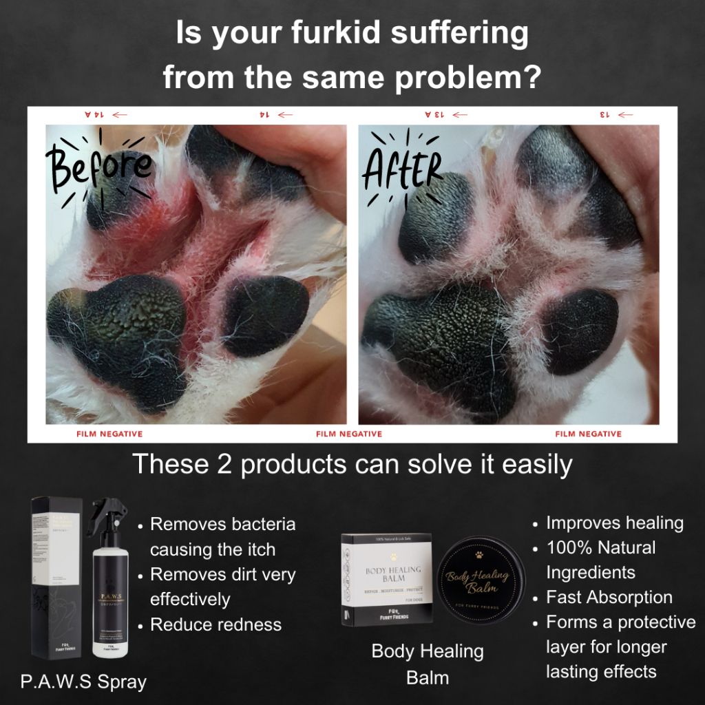 P.A.W.S Spray helping red paw gaps