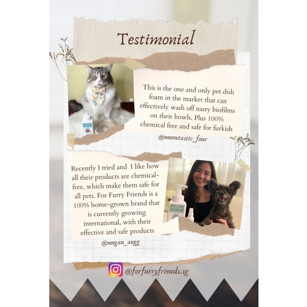 old design testimonial