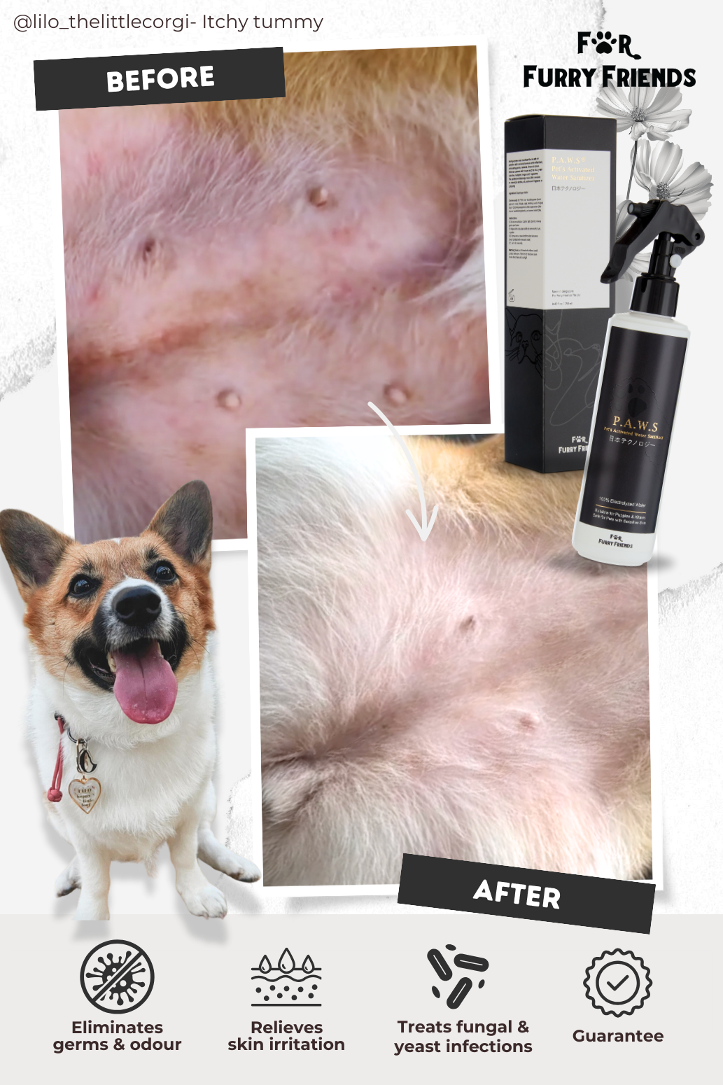 P.A.W.S Spray b4 after