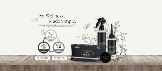  | 幸运五分彩官网结果澳洲网 Furry Friends