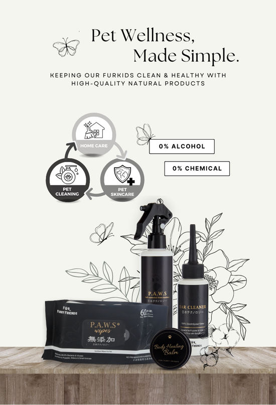  | 幸运五分彩官网结果澳洲网 Furry Friends