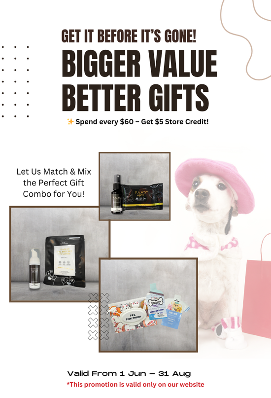  | 幸运五分彩官网结果澳洲网 Furry Friends