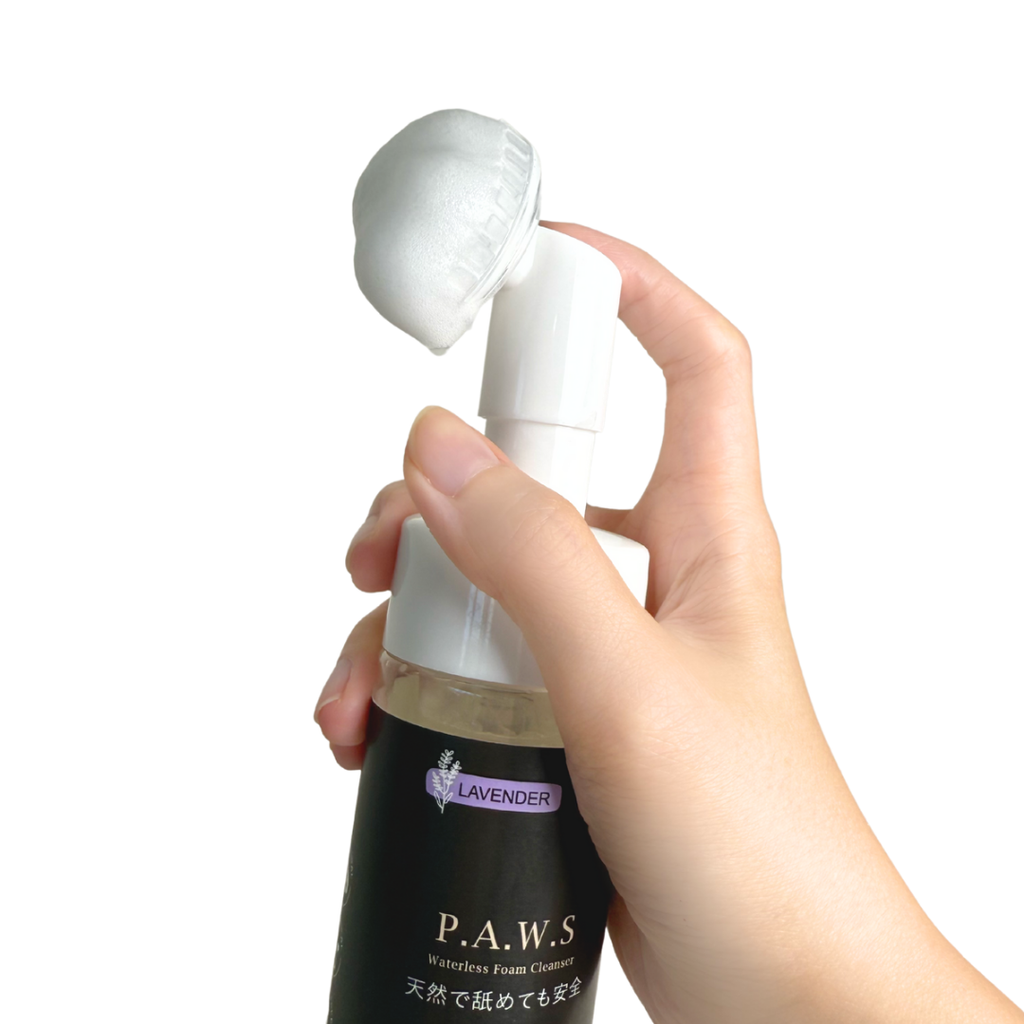 Shopee _ Lazada Product images_20250521_214152_0004