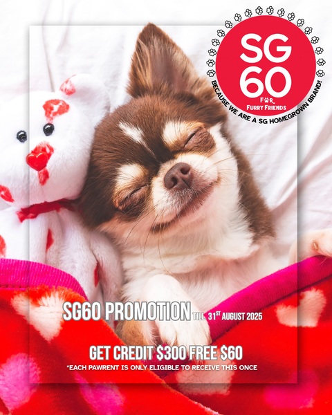 SG60 promotion SG
